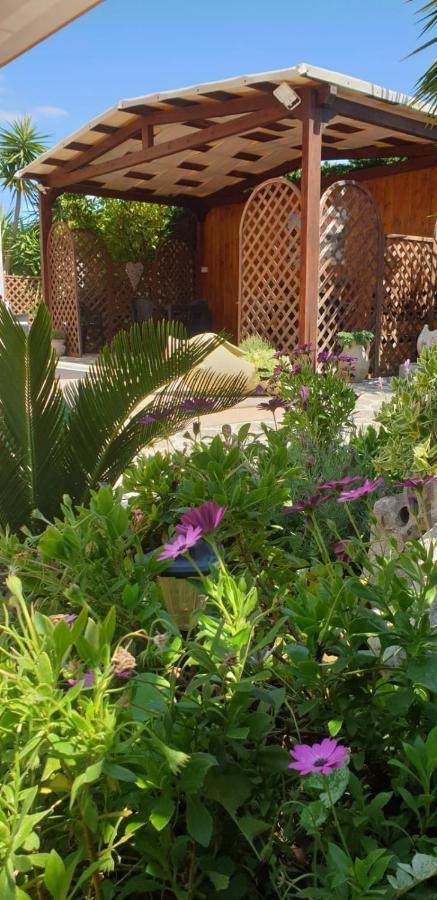 B&B L'Oasi Del Sole 乌瓜诺拉基耶萨 外观 照片